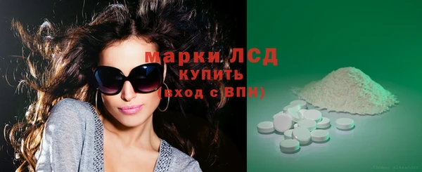 шишки Беломорск