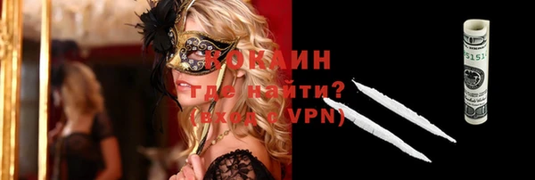 шишки Беломорск