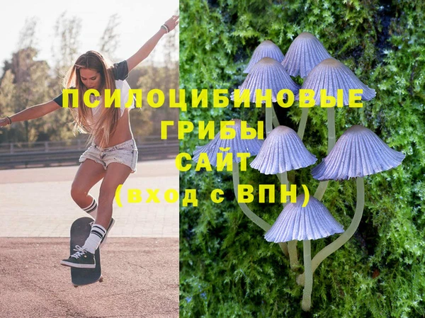 PSILOCYBIN Богородск