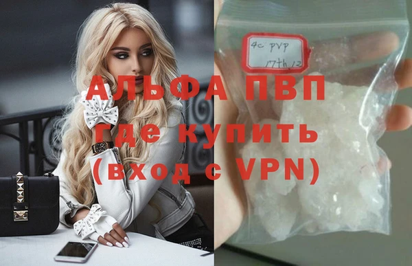 шишки Беломорск