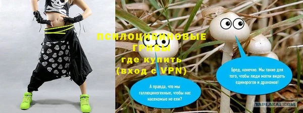 альфа пвп Богданович