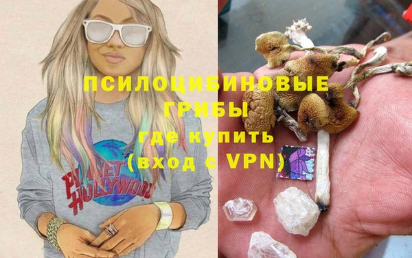 шишки Беломорск