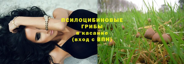 эйфоретик Богородицк